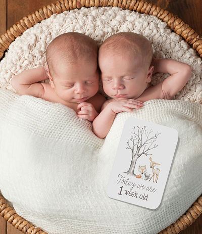 Woodland Friends TWINS Baby Milestone Cards